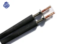 Titananodenstab für die Wirbelelektrolyse